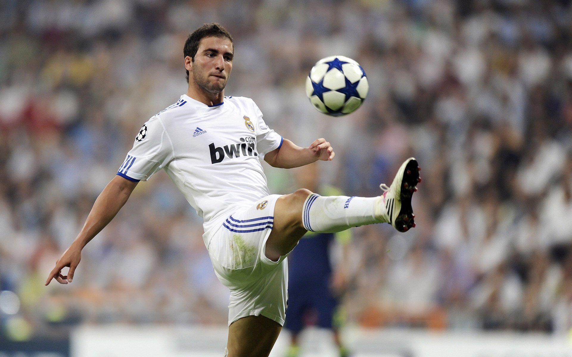 世界足球最强青训